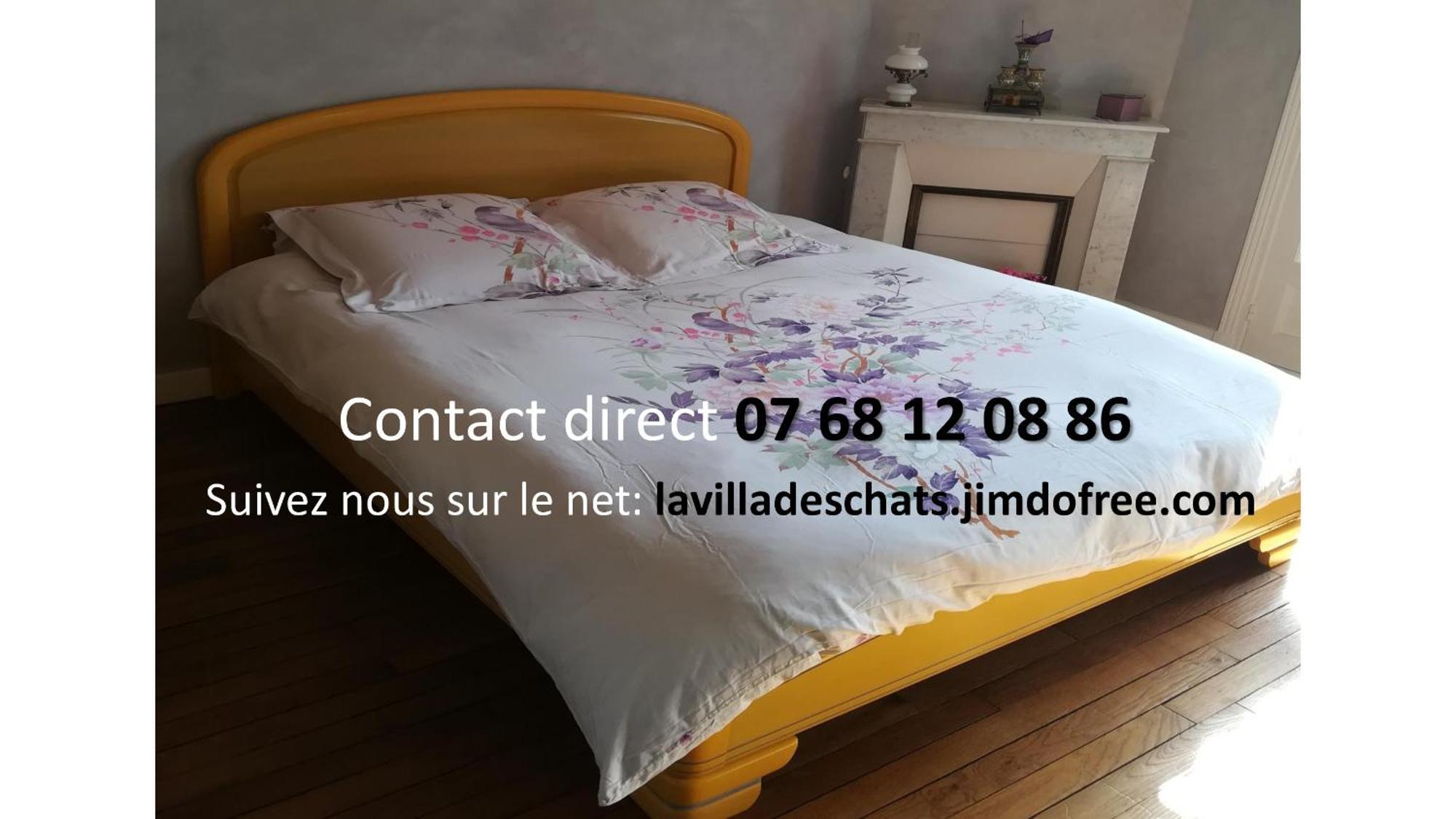 La Villa Des Chats Andrésy Exteriér fotografie