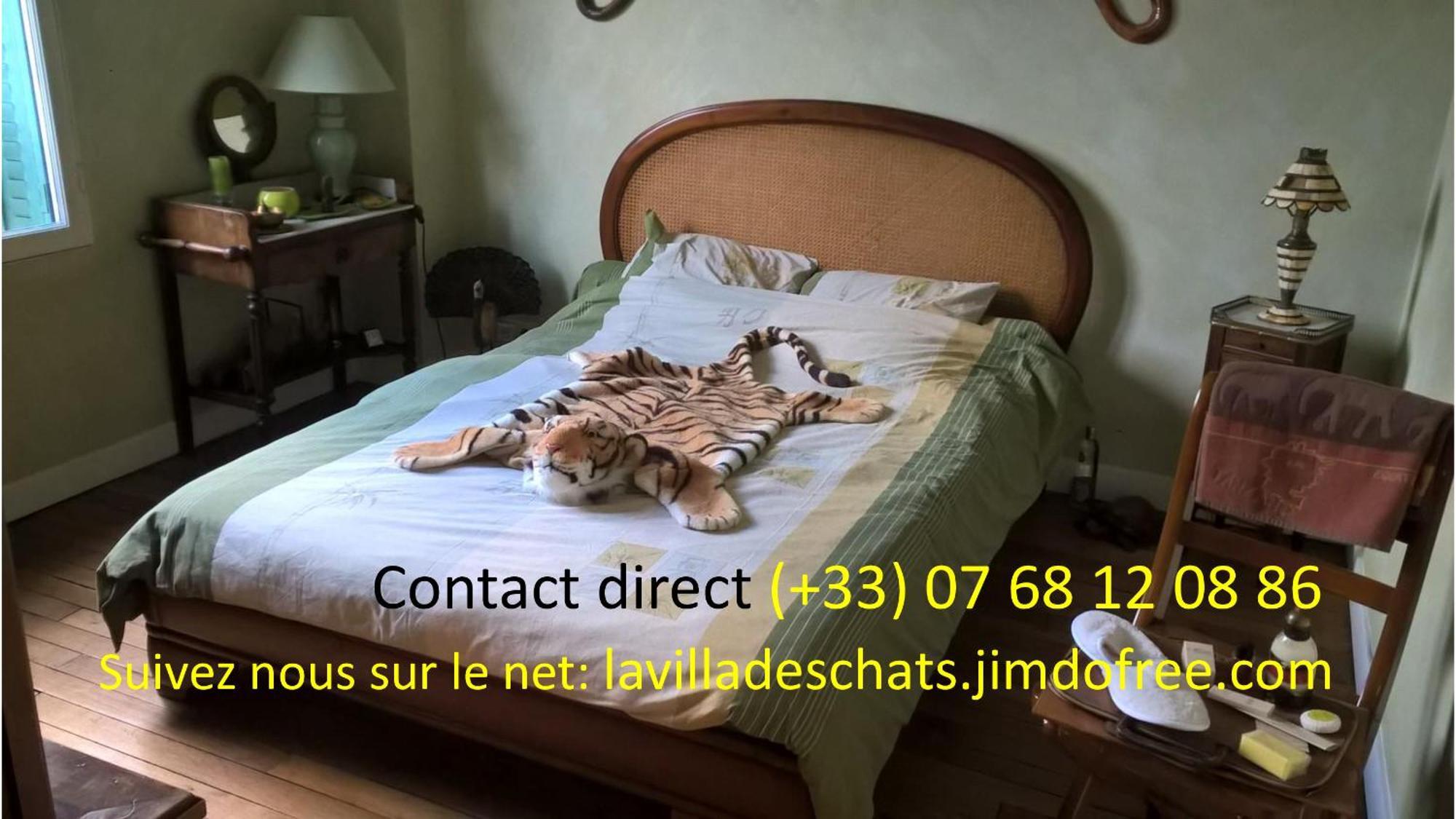 La Villa Des Chats Andrésy Exteriér fotografie